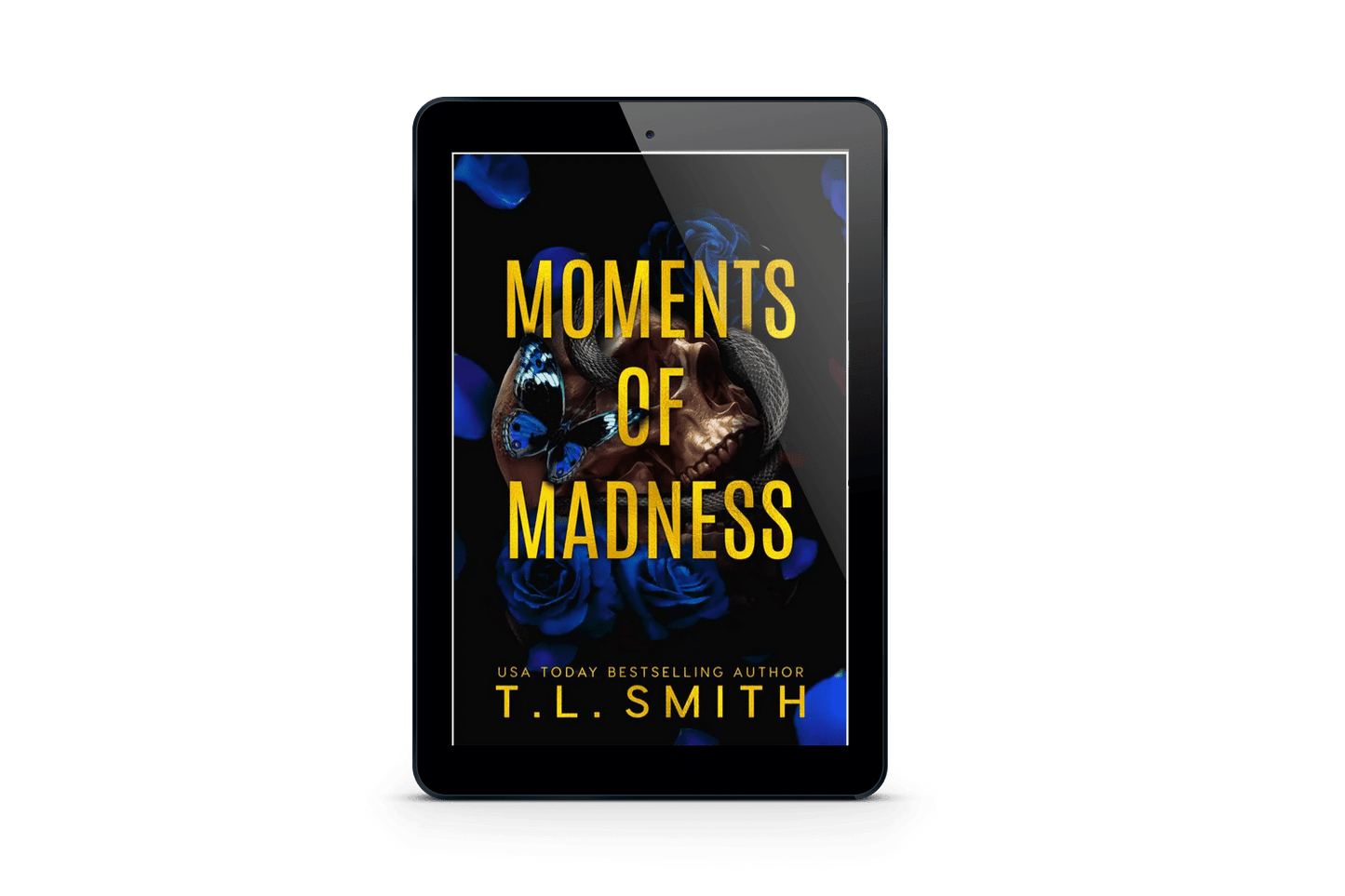 Moments of Madness eBook